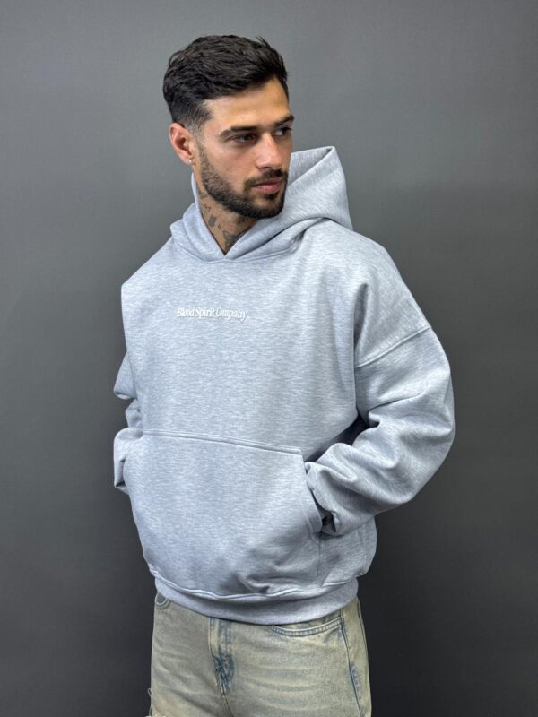 HOODIE BOXY MODA 3D